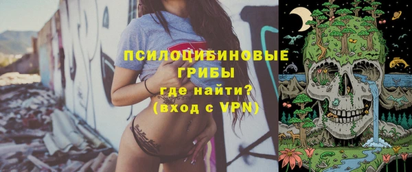 apvp Балабаново