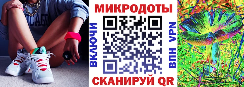 Псилоцибиновые грибы Psilocybe Морозовск
